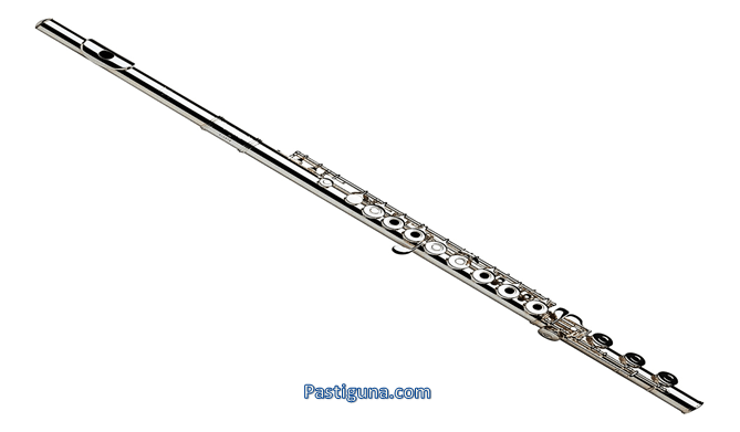 alat musik tiup flute