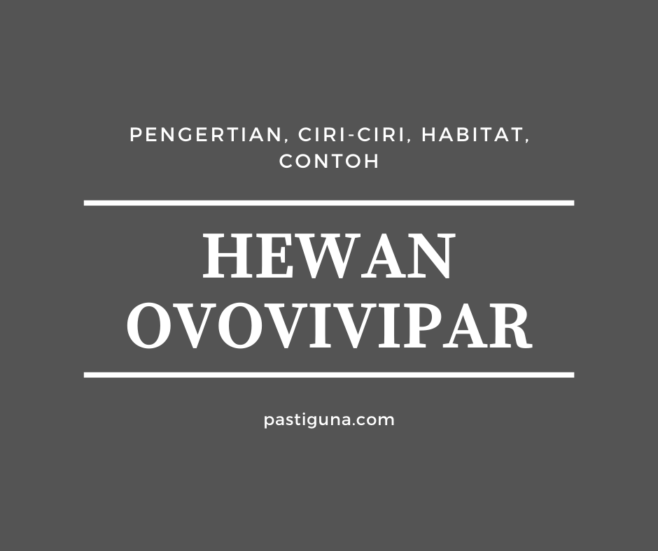 Hewan Ovovivipar