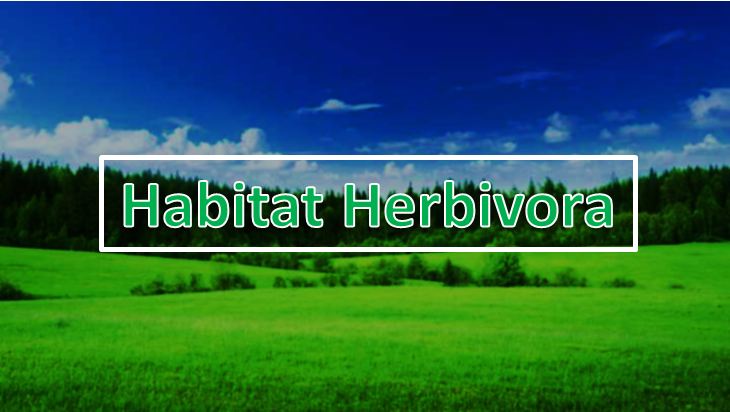 habitat herbivora