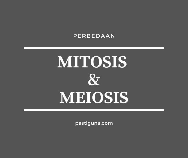 perbedaan mitosis dan meiosis