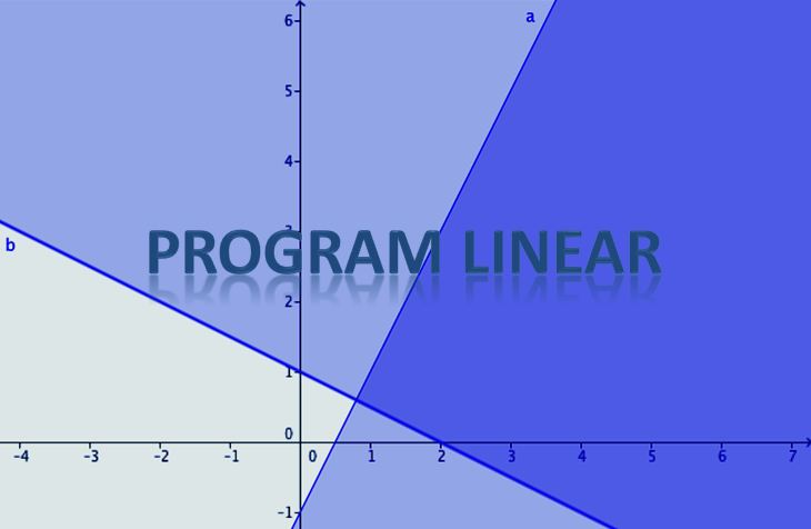 program linear