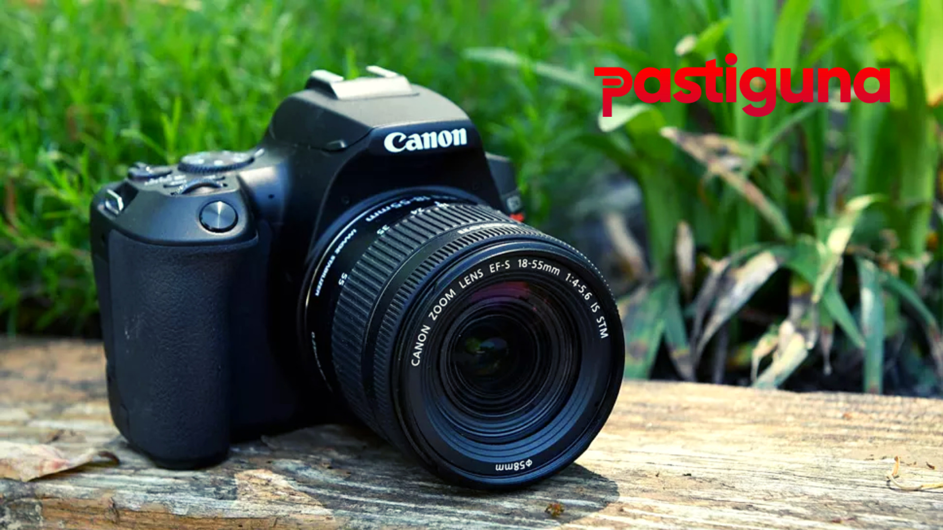 Review Canon EOS Rebel SL3, DSLR 4K untuk Pemula