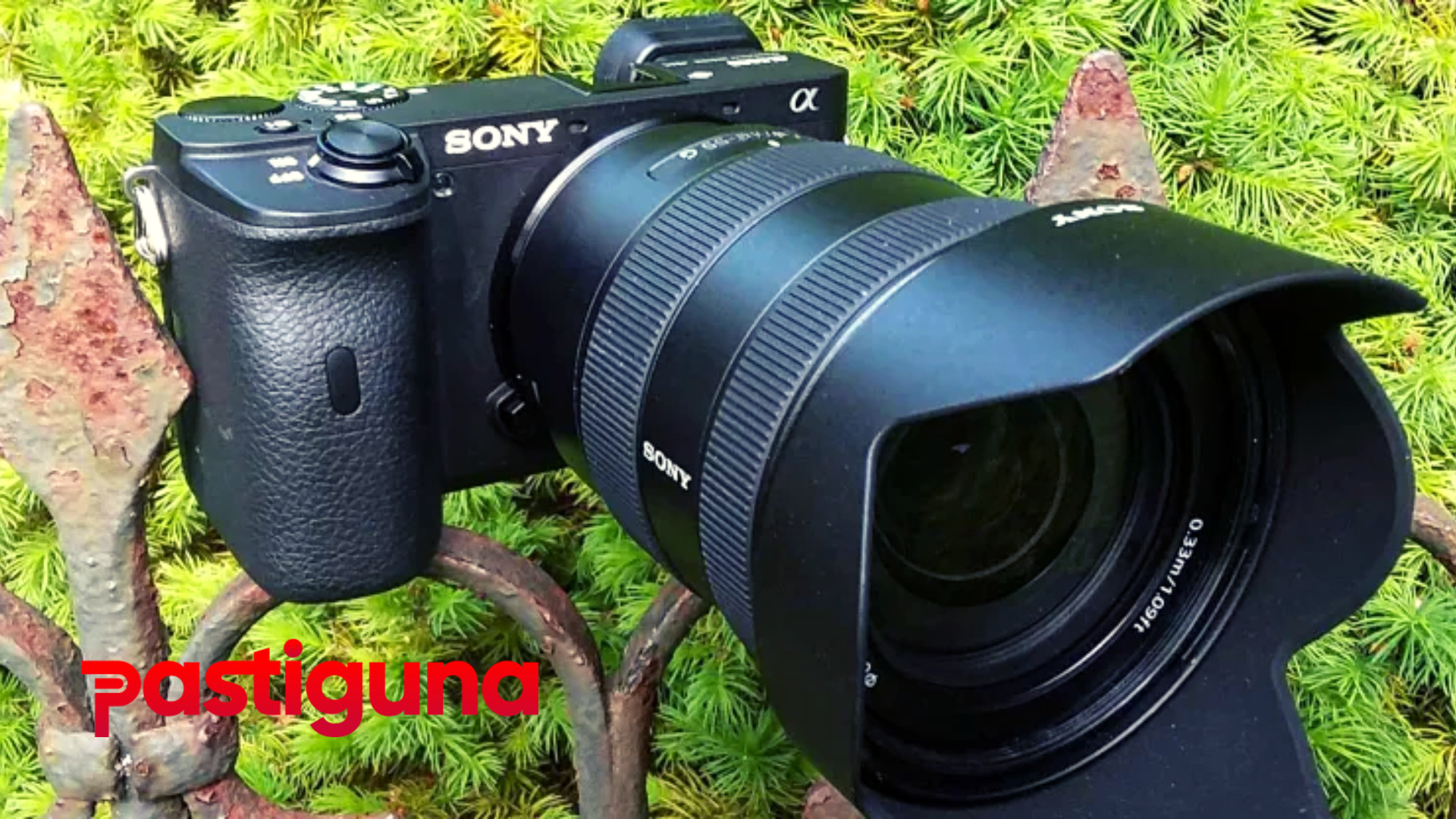 Review Sony Alpha a6600, Kamera Mirrorless yang Mengesankan